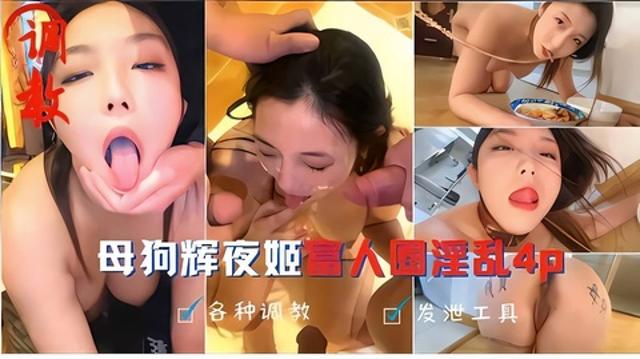 母狗辉夜姬富人圈淫乱4p_人前女神人后母狗彻底玩坏